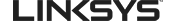 brand-image